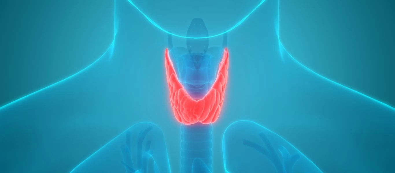 Υποθυρεοειδισμός: Έχετε αυτά τα συμπτώματα; - Δείτε τι πρέπει να τρώτε!